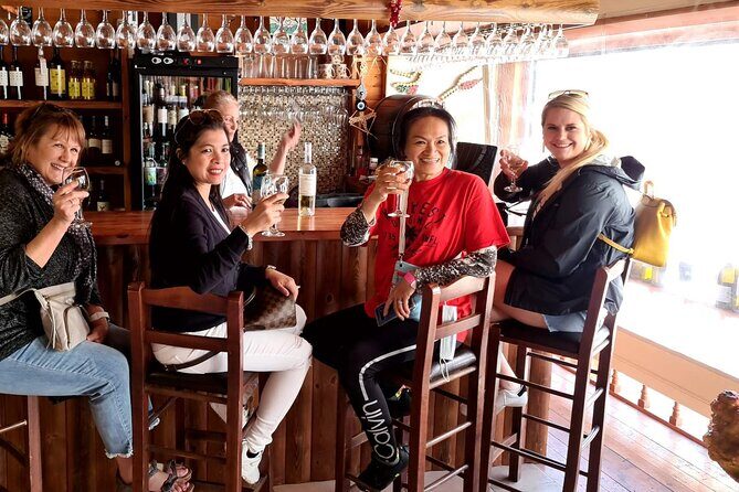 Private Full Day Rhodes Island Tour with Wine Tasting Experience - Who Should Book This Tour?