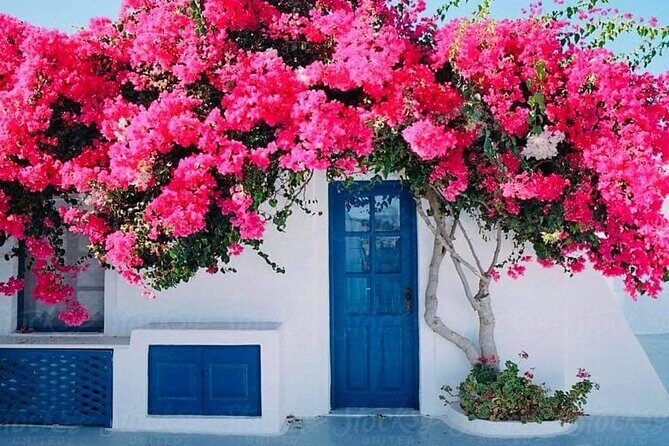 Private Full Day Rhodes Island Tour with Wine Tasting Experience - FAQ