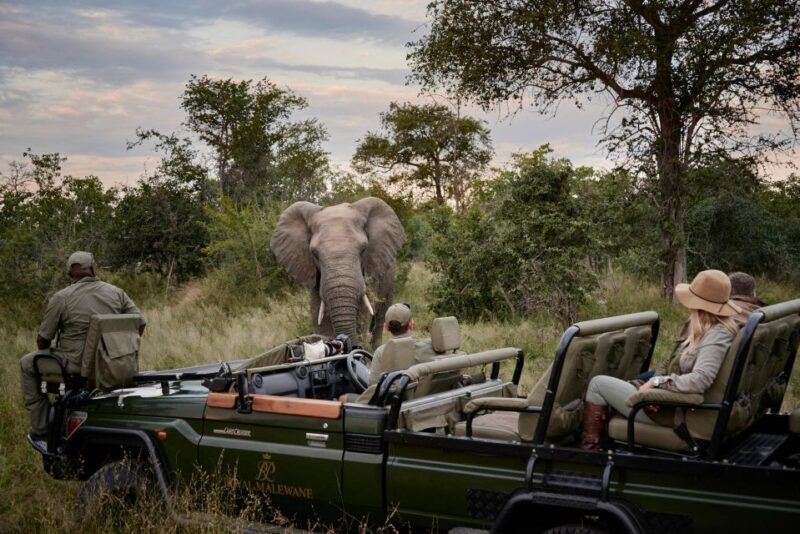 Private Full Day Safari Adventure in Addo National Park - Who Should Consider This Tour?
