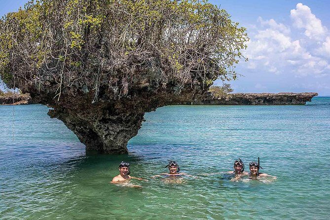 Private Full-day Safari Blue Trip with Lunch buffet - A Closer Look at the Private Full-day Safari Blue Trip with Lunch Buffet