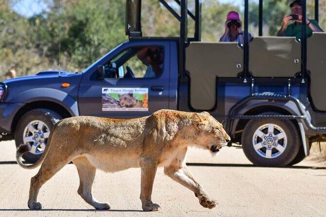Private Full Day Safari l Kruger National Park from Hazyview or Skukuza - Key Points