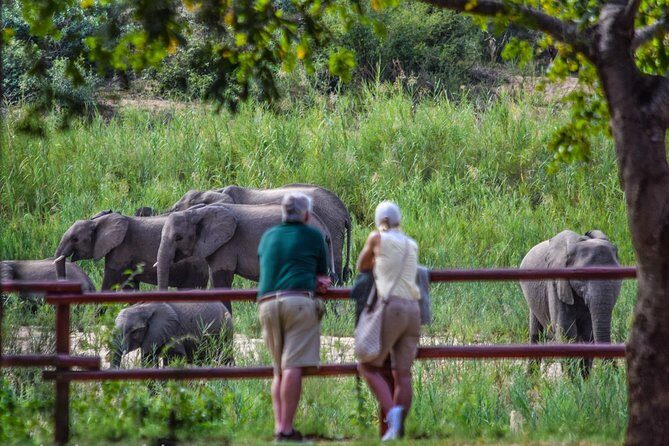 Private Full Day Safari l Kruger National Park from Hazyview or Skukuza - Final Thoughts