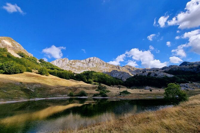 private-full-day-safari-tour-2