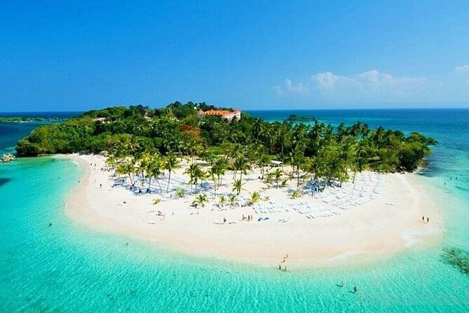 private-full-day-samana-whale-watching-tour-from-punta-cana