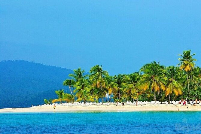 private-full-day-samana-whale-watching-tour-from-punta-cana