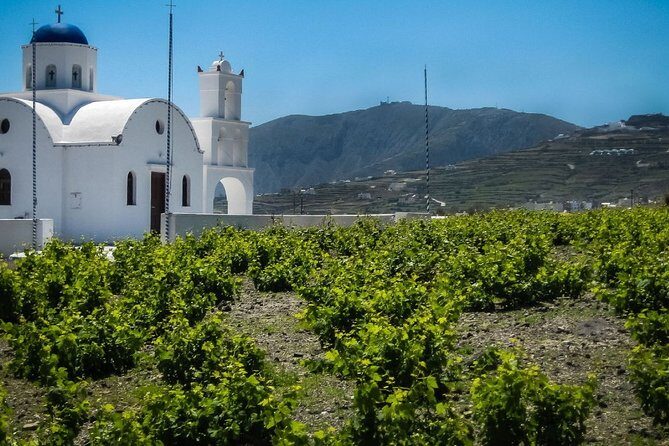 ~PRIVATE Full Day Santorini road tour 8 hours Book with us~ - FAQ