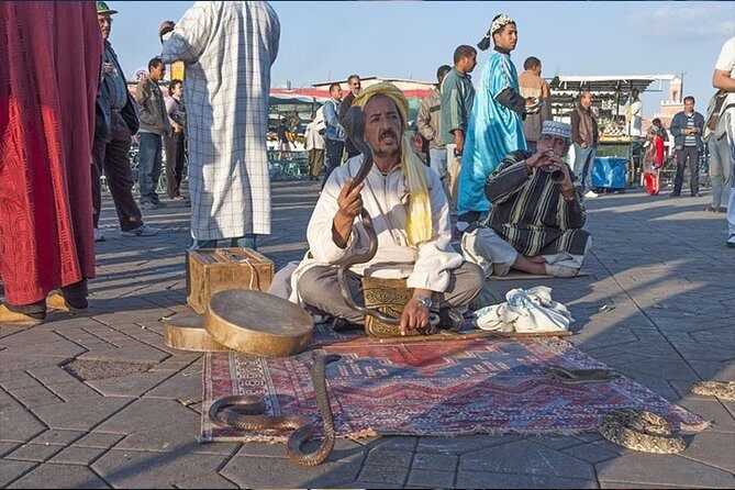 Private Full Day Sightseeing Marrakech Tour by Car - A Detailed Look at the Marrakech Private Tour