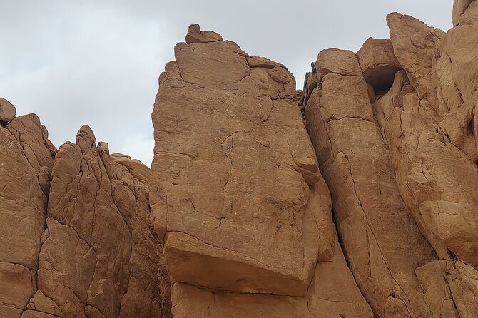 Private Full Day Sinai Desert Adventures - Who’s This Tour For?