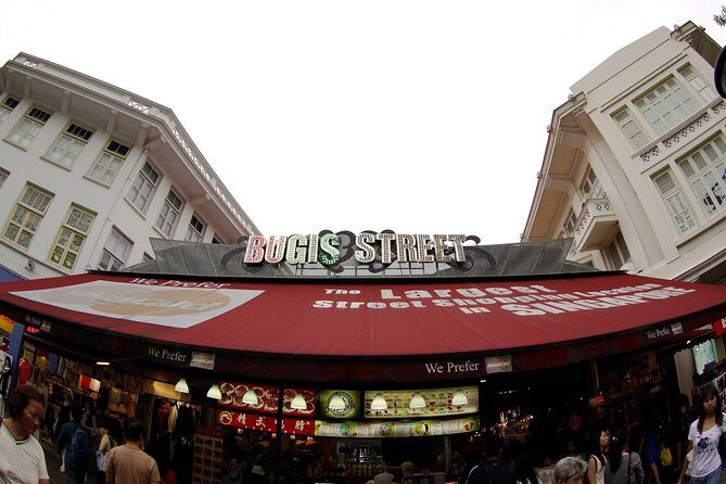 Private Full Day Singapore City Tour with Professional Tour Guide - Who Will Love This Tour?