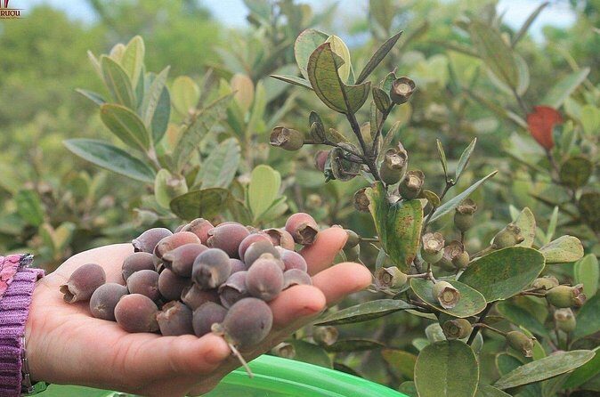 Private Full Day Southern Phu Quoc Island Tour - Final Thoughts