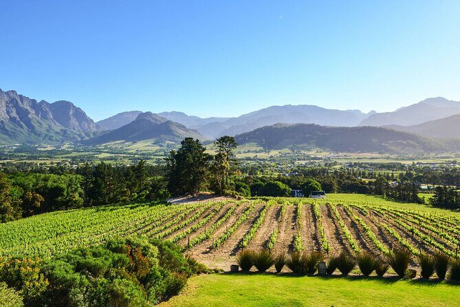 Private Full Day Stellenbosch Wine Tour - Who is this tour best suited for?