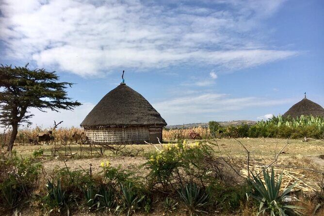 Private Full-Day Stone Age and Medieval Tour from Addis Ababa - Exploring the Itinerary in Detail