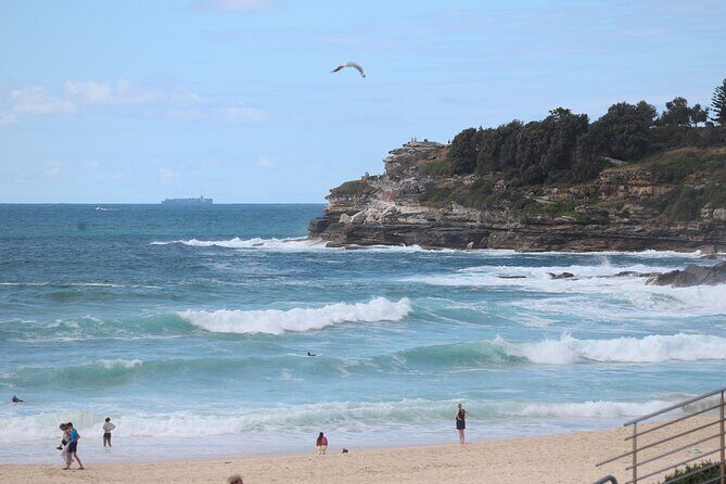 Private Full-Day Sydney Highlights with Bondi Beach Tour - FAQ