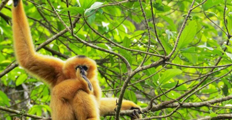 private-full-day-tam-coc-cuc-phuong-national-park-w-lunch