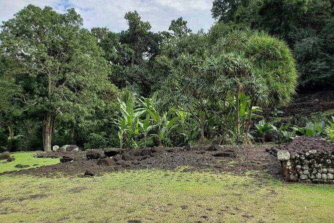 Private full day tour around Tahiti: the island's nature wonders - What Makes this Tour Stand Out?