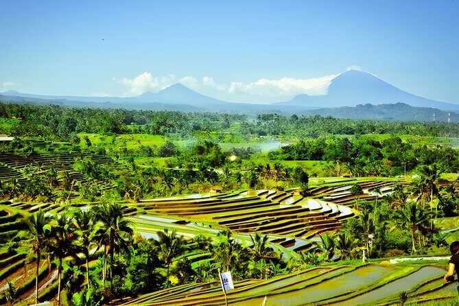Private Full-Day Tour: Discover The Best of Bali Destination - FAQs