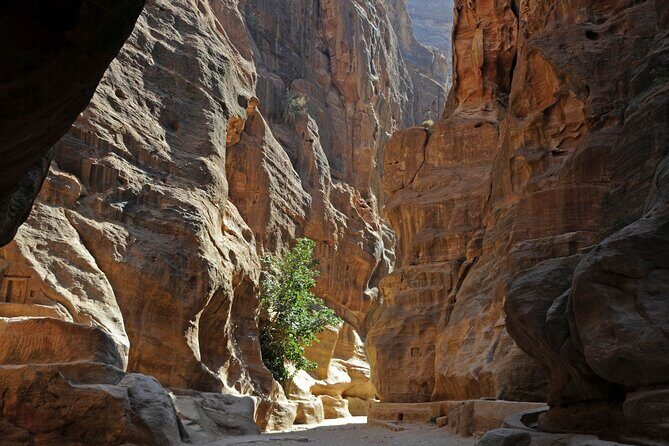 Private Full Day Tour from Amman to Petra - Who Should Consider This Tour?