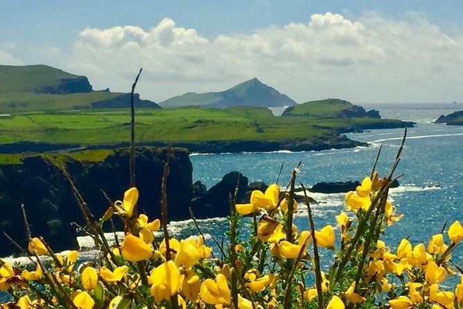 private-full-day-tour-from-killarney-ring-of-kerry-skellig