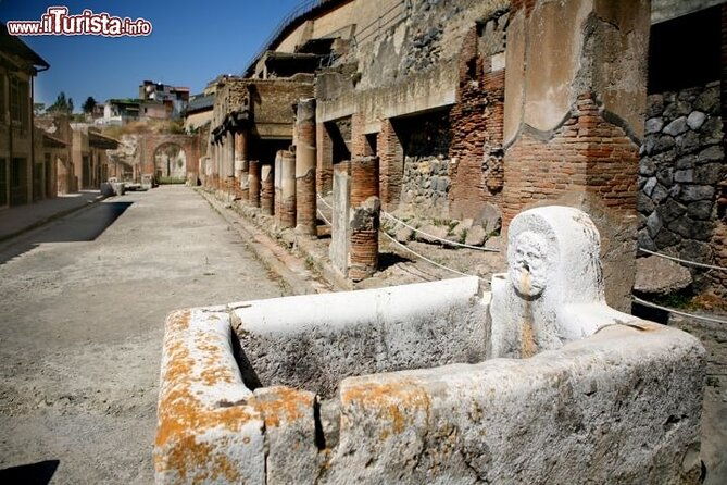 private-full-day-tour-herculaneum-ruins-mt-vesuvio-and-winery
