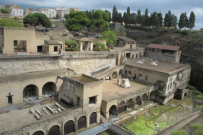 private-full-day-tour-herculaneum-ruins-mt-vesuvio-and-winery