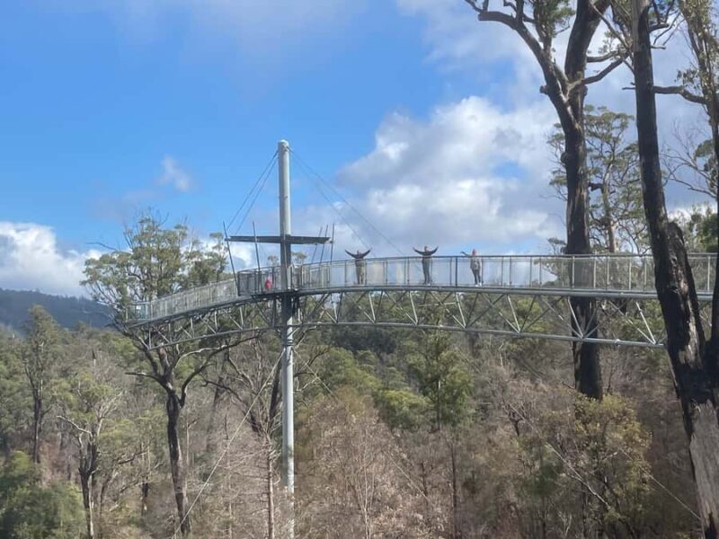 Private Full Day Tour - Huon Valley and Cygnet - Who Would Love This Tour?