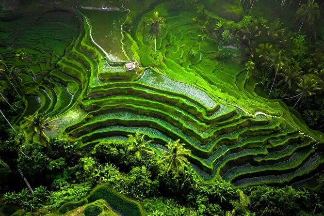 Private Full Day Tour in Enchantment of Ubud - Exploring the Enchantment of Ubud: A Practical Full-Day Tour Review