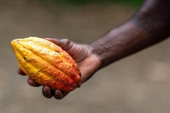 private-full-day-tour-in-grenada-with-pickup