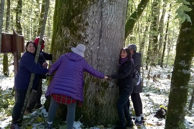 private-full-day-tour-in-moraca-and-tara-canyons-durmitor-biogradska-gora-np-2