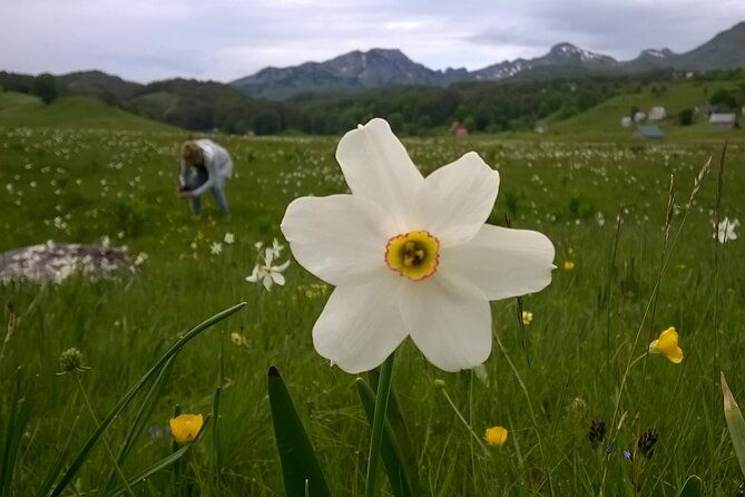 private-full-day-tour-in-moraca-and-tara-canyons-durmitor-biogradska-gora-np