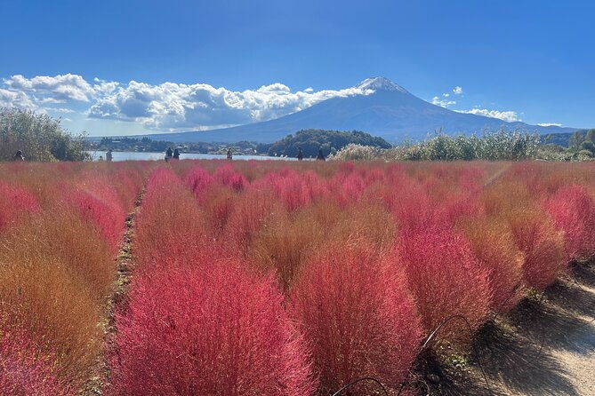 private-full-day-tour-in-mt-fuji-with-pickup