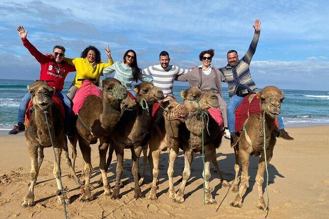 Private Full Day Tour in Tangier including Camel ride - Who Would Love This Tour?
