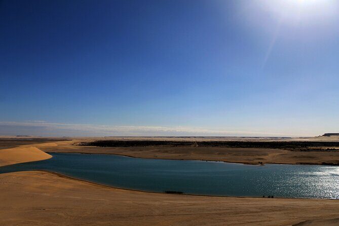 Private Full Day Tour in Wadi El Rayan and Wadi El Hiten - The Itinerary in Detail