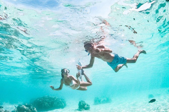 PRIVATE Full Day Tour : Moorea Snorkeling & Sailing on a Catamaran named Taboo - FAQ: Your Common Questions Answered