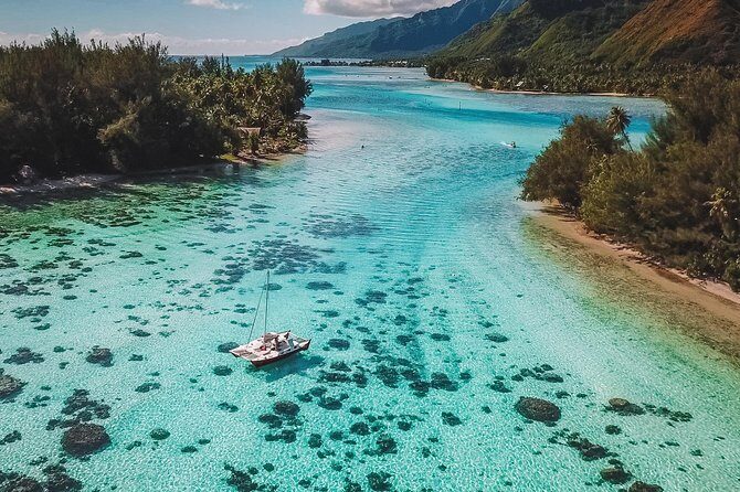 PRIVATE Full Day Tour : Moorea Snorkeling & Sailing on a Catamaran named Taboo - Final Thoughts