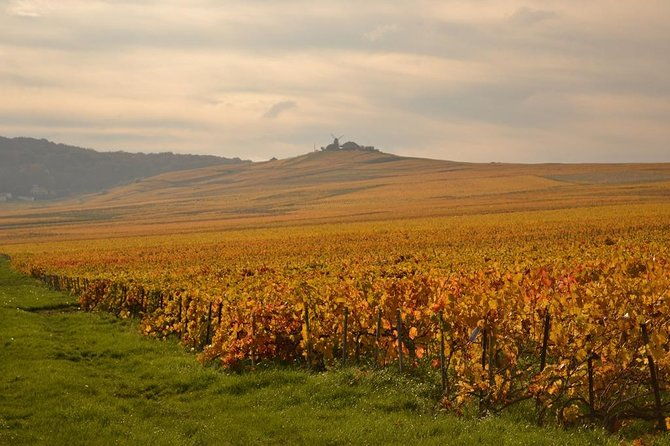 private-full-day-tour-of-champagne-region