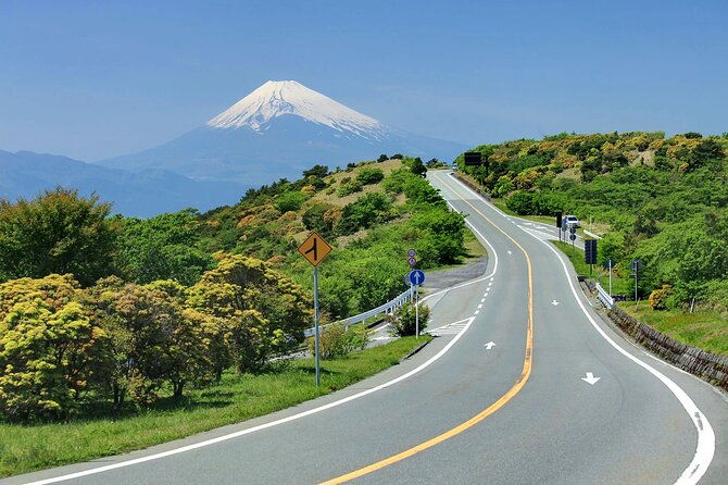 private-full-day-tour-of-izu-peninsula-with-hotel-pickup