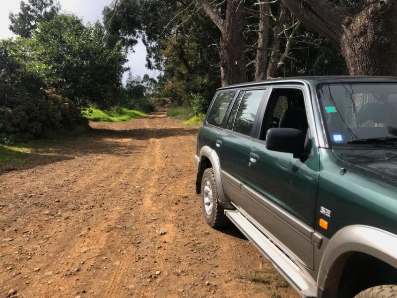 private-full-day-tour-of-north-coast-and-laurissilva-forest