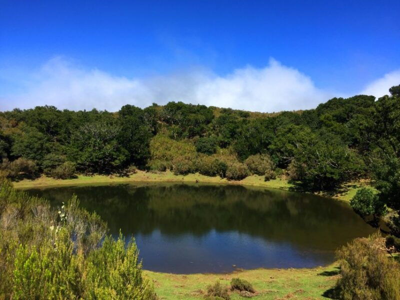 private-full-day-tour-of-north-coast-and-laurissilva-forest