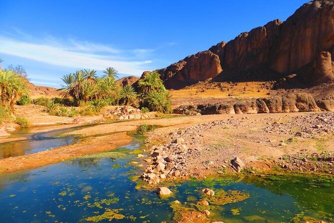 Private Full-Day Tour of Ouarzazate and Oasis Fint - What Makes This Tour Stand Out?