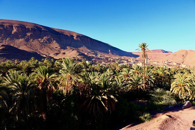 Private Full-Day Tour of Ouarzazate and Oasis Fint - Practical Tips for Making the Most of Your Day