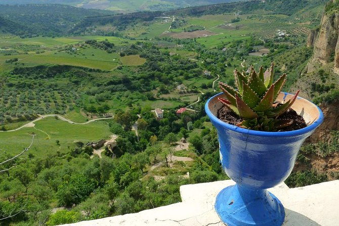 private-full-day-tour-of-ronda-from-malaga-with-hotel-pick-up-and-drop-off