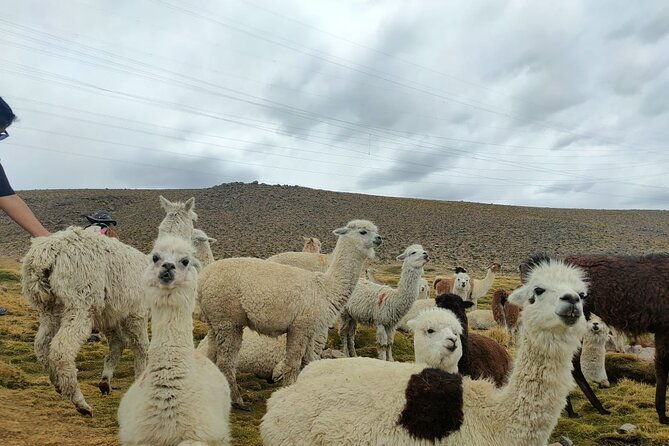 private-full-day-tour-of-ruta-del-sol-from-puno-to-cusco