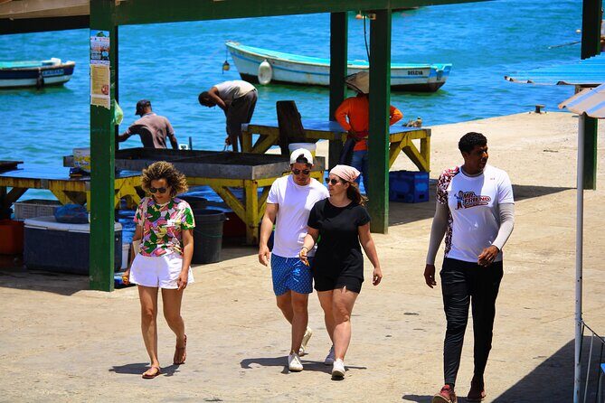 Private Full-Day Tour of Sal Island - Final Thoughts: Who Is This Tour Best For?
