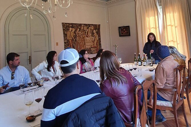 private-full-day-tour-of-vinas-tarapaca-and-santa-ema-isla-de-maipo