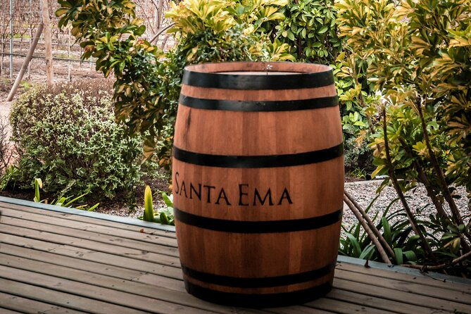 private-full-day-tour-of-vinas-tarapaca-and-santa-ema-isla-de-maipo