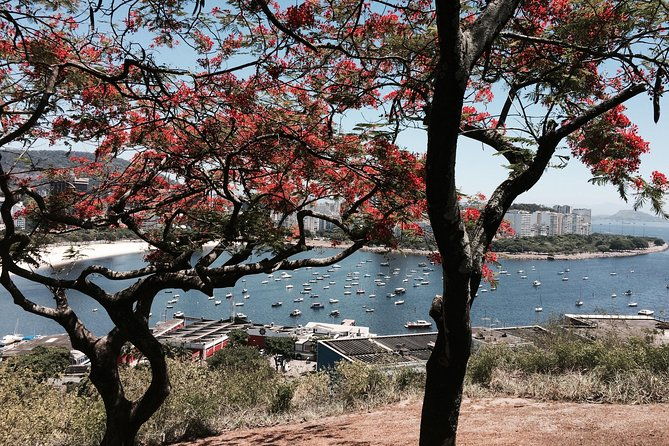 private-full-day-tour-rio-de-janeiros-main-landmarks