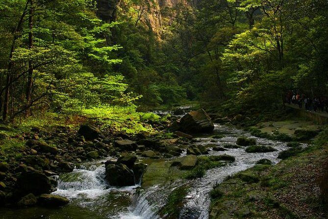 Private Full Day Tour to Avatar Mountain from Zhangjiajie - Who Will Love This Tour?