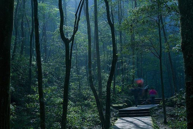 Private Full Day Tour to Avatar Mountain from Zhangjiajie - The Sum Up