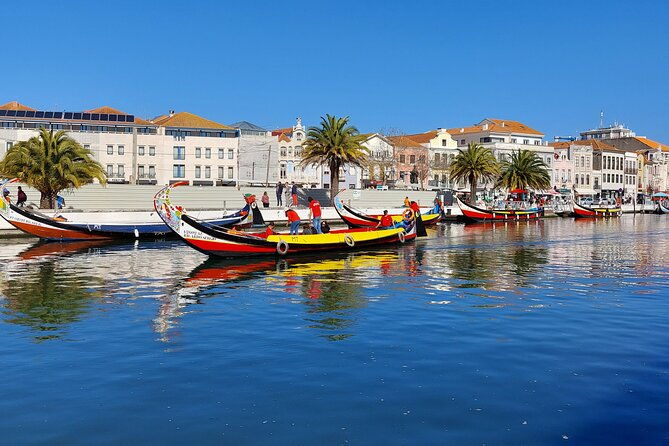 private-full-day-tour-to-aveiro-and-porto