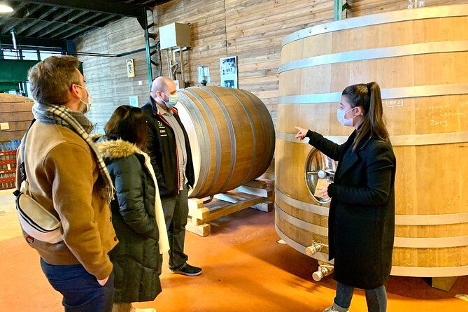 private-full-day-tour-to-champagne-from-paris-visit-of-2-champagne-producers